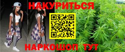 дмт Донской
