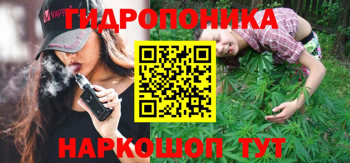 Конопля семена  Вход с VPN  Нижнеудинск  Шишки марихуана семена 